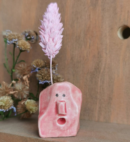 Moki, l'innocent rose