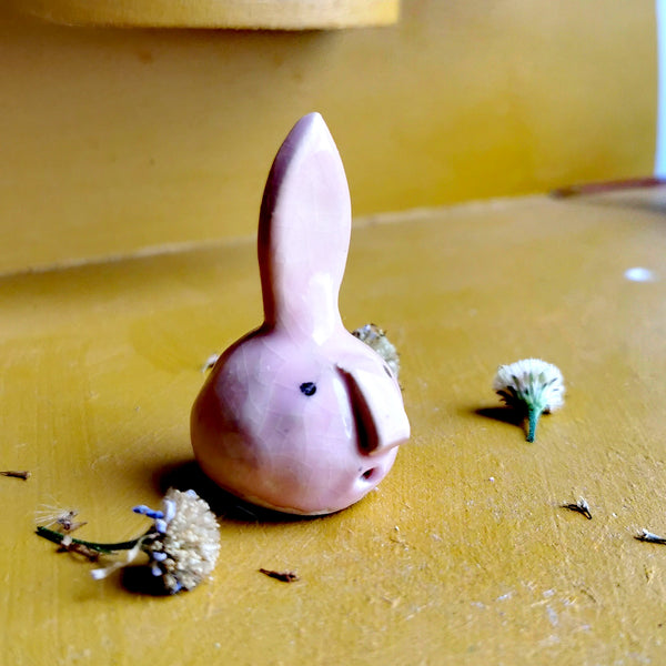 Moki, le tranquille qui apaise